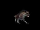 Bonepaw Hyena