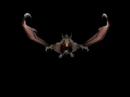Shrike Bat