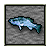 Bluefin