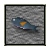 Deepwater Queenfish