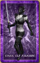 Dark Elf Assassin