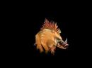 Ashmane Boar