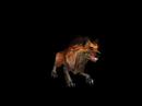 Kolkar Packhound