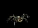 Blackfang Tarantula