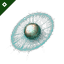 Caldari Navy Medium Graviton Smartbomb
