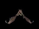 Shadowbat